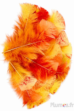Kalkoen gespikkeld karmijn kleur - 6-8 cm - curry